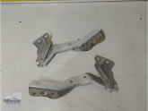 Oto Çıkma Parça / Renault / Master / Kaporta & Karoser / Kaput / Çıkma Parça 