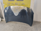 Oto Çıkma Parça / Renault / Fluence / Kaporta & Karoser / Kaput / Çıkma Parça 