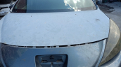 peugeot 207 kaput