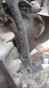 Oto Çıkma Parça / Peugeot / 306 / Şanzıman / Şanzıman Komple / Çıkma Parça 