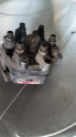 BMW Yakıt Distribütörü BOSCH 0438100028