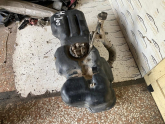 Oto Çıkma Parça / Hyundai / H100 / Motor / Mazot Pompası / Çıkma Parça 