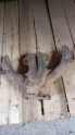 Skoda felicia egzoz manifold