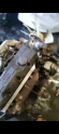 Oto Çıkma Parça / Kia / Pregio / Motor / Motor (komple) / Çıkma Parça 