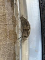 Oto Çıkma Parça / Volkswagen / Golf / Tampon / Ön Tampon / Çıkma Parça 