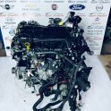 Oto Çıkma Parça / Renault / Trafic / Motor / Motor (komple) / Çıkma Parça 