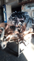 Oto Çıkma Parça / Volkswagen / Touareg / Motor / Motor (komple) / Çıkma Parça 