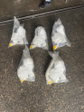 Oto Çıkma Parça / Renault / Clio / Oto Cam / Su Fıskiyesi / Çıkma Parça 