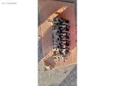 Oto Çıkma Parça / Honda / Jazz / Motor / Silindir Kapağı / Çıkma Parça 