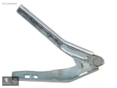 206 KAPUT MENTEŞESİ SAĞ PEUGEOT 791332