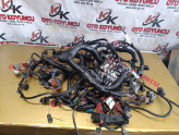 Oto Çıkma Parça / Renault / Clio / Motor / Elektrik Tesisatı / Çıkma Parça 
