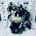 Oto Çıkma Parça / Renault / Trafic / Motor / Motor (komple) / Çıkma Parça 