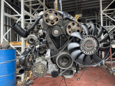Oto Çıkma Parça / Volkswagen / Passat / Motor / Motor (komple) / Çıkma Parça 