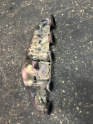 Oto Çıkma Parça / Volkswagen / Transporter / Egzoz / Egzoz Manifoldu / Çıkma Parça 