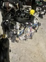 Oto Çıkma Parça / Renault / Clio / Motor / Motor (komple) / Çıkma Parça 