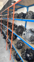 Oto Çıkma Parça / Fiat / Linea / Şanzıman / Şanzıman Komple / Çıkma Parça 