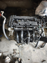 Oto Çıkma Parça / Ford / Fiesta / Motor / Motor (komple) / Çıkma Parça 