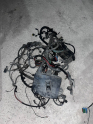 Oto Çıkma Parça / Ford / Focus / Motor / Elektrik Tesisatı / Çıkma Parça 