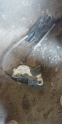 Passat B8 Modeli İçin 6R0837349 VW Kapı Kilidi