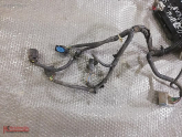 Oto Çıkma Parça / Ford / Focus / Elektrik / Elektrik Tesisatı / Çıkma Parça 