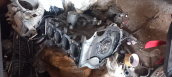 Oto Çıkma Parça / Mazda / 3 / Motor / Blok / Çıkma Parça 