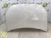 VOLKSWAGEN POLO 2006 2010 ÖN KAPUT 6Q0823031