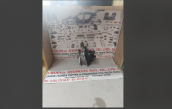 Honda euro cıvıc distribütör komple ies 1.4/1.6 1996-2000**