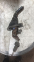 Oto Çıkma Parça / Opel / Corsa / Fren / El Fren Tabancası / Çıkma Parça 