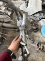 Oto Çıkma Parça / Honda / Civic / Motor / Enjektör / Çıkma Parça 