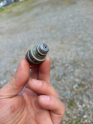 Oto Çıkma Parça / Fiat / Siena / Motor / Enjektör / Çıkma Parça 