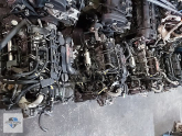 Oto Çıkma Parça / Ford / Focus / Motor / Motor (komple) / Çıkma Parça 