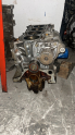 Oto Çıkma Parça / Honda / Civic / Motor / Blok / Çıkma Parça 