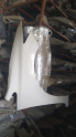 Honda civic sağ on camurluk