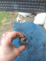 Oto Çıkma Parça / Renault / Scenic / Motor / Eksantrik / Çıkma Parça 