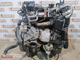 Oto Çıkma Parça / Renault / Clio / Motor / Motor (komple) / Çıkma Parça 