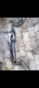 Oto Çıkma Parça / Renault / Clio / Alt Takım / Viraj Demiri / Çıkma Parça 