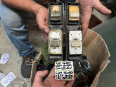 Oto Çıkma Parça / Fiat / Tempra / Oto Cam / Cam Düğmesi / Çıkma Parça 