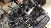 Oto Çıkma Parça / Ford / C-Max / Motor / Motor (komple) / Çıkma Parça 