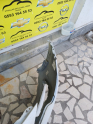 Oto Çıkma Parça / Opel / Astra / Tampon / Ön Tampon / Çıkma Parça 