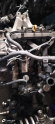 Oto Çıkma Parça / Ford / Ecosport / Motor / Motor (komple) / Çıkma Parça 