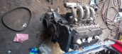 Oto Çıkma Parça / Kia / Rio / Motor / Motor (komple) / Çıkma Parça 