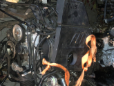 Oto Çıkma Parça / Bmw / 3 Serisi / Motor / Motor (komple) / Çıkma Parça 