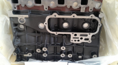 Oto Çıkma Parça / Kia / Pregio / Motor / Motor (komple) / Sıfır Parça 