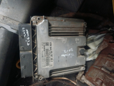 Tiguan motor beyni