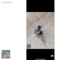 Oto Çıkma Parça / Renault / Clio / Motor / Hava Akışmetre / Çıkma Parça 