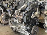 Oto Çıkma Parça / Ford / Fiesta / Motor / Motor (komple) / Çıkma Parça 