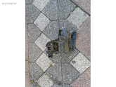 Oto Çıkma Parça / Opel / Crossland X / Far & Stop / Far Braketi / Çıkma Parça 
