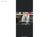 Oto Çıkma Parça / Hyundai / H100 / Far & Stop / Sol Ön Far / Çıkma Parça 