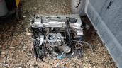Oto Çıkma Parça / Nissan / Sunny / Motor / Silindir Kapağı / Çıkma Parça 
