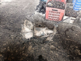 Oto Çıkma Parça / Opel / Rekord / Şanzıman / Şanzıman Komple / Çıkma Parça 